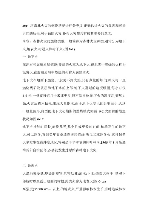 森林火灾的燃烧类型