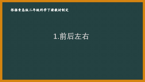 2021六制《青岛版二年级科学下册》全册全部课件(共16课时)