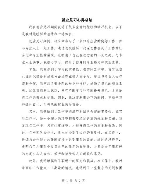 就业见习心得总结