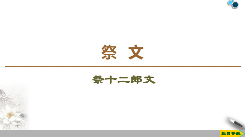 高中苏教版语文选修唐宋八大家散文祭文  祭十二郎文课件PPT