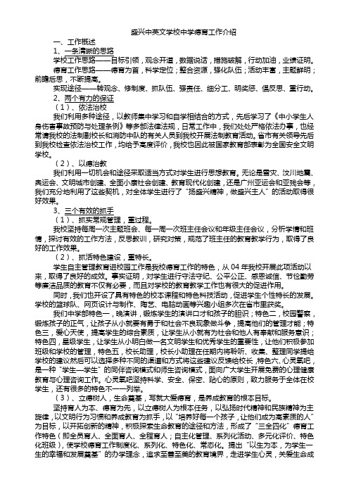 盛兴中英文学校德育工作汇报