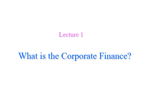 Ch1What is the Corporate Finance(澳大利亚新英格兰大学公司金融课件)