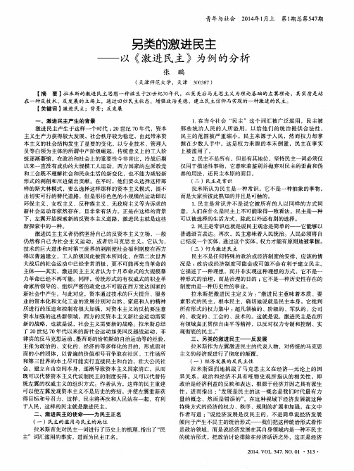 另类的激进民主——以《激进民主》为例的分析