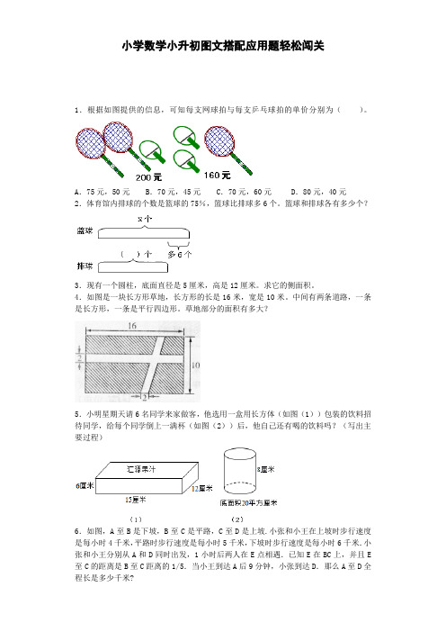 人教版六下数学小升初数学试题-图文搭配应用题轻松闯关-通用版(附答案)公开课课件教案公开课课件教案公