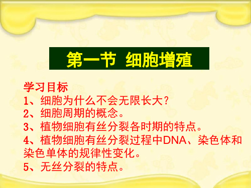 苏教版必修1高中生物第五章细胞增殖第二课时