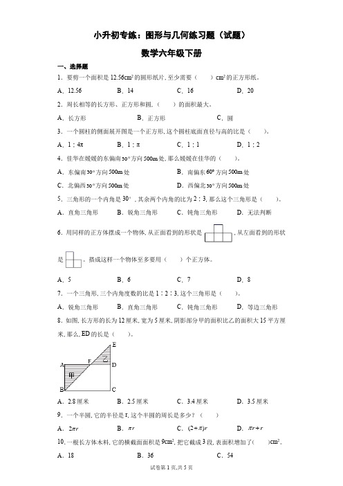 小升初专练：图形与几何练习题(试题)数学六年级下册(含答案)