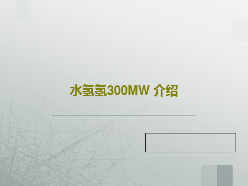 水氢氢300MW 介绍91页PPT