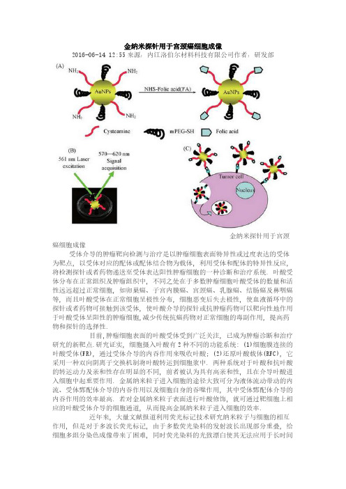 (仅供参考)金纳米探针用于宫颈癌细胞成像