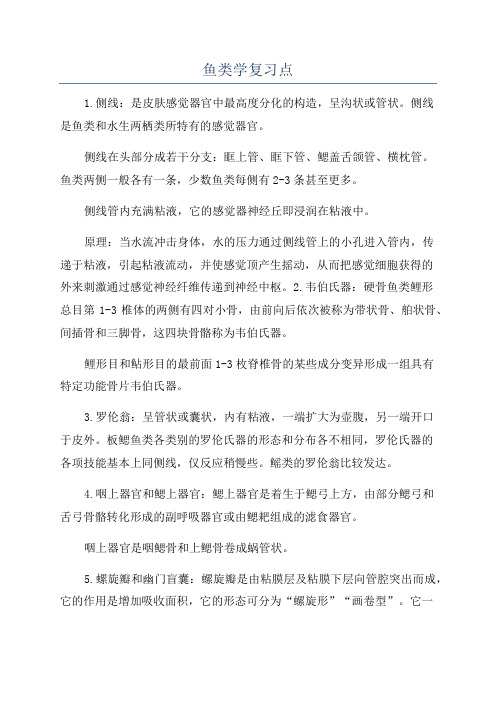 鱼类学复习点