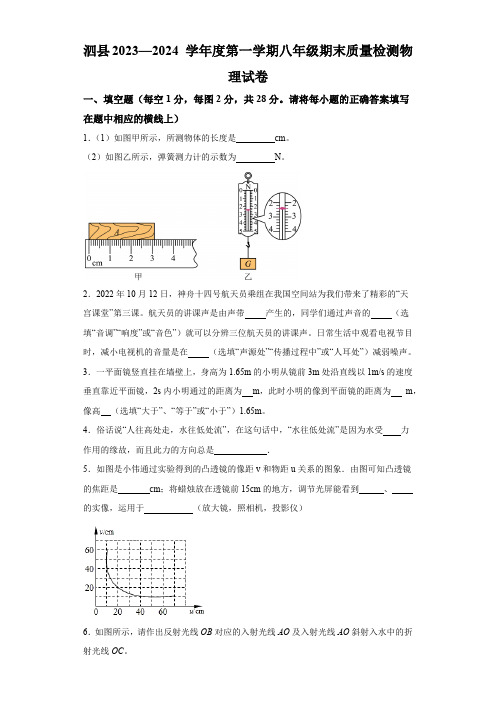 安徽省宿州市泗县2023-2024学年八年级上学期期末物理试题(含解析)