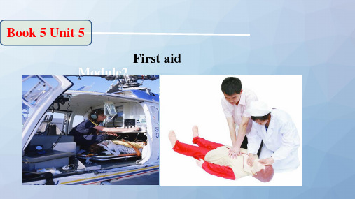 高三英语一轮复习优质课件：Unit 5 First aid