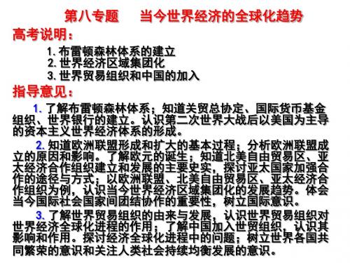 第八专题当今世界经济的全球化趋势2-文档资料28页