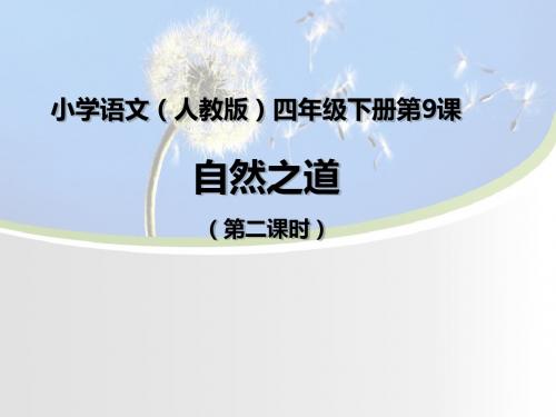 自然之道(第二课时)