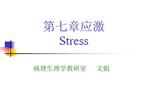 应激课件stress