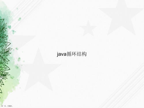 java循环结构讲课文档