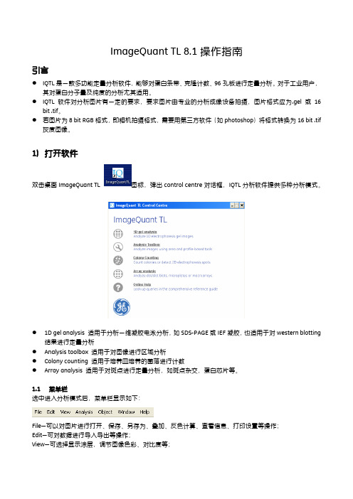 ImageQuant TL 8.1操作指南说明书