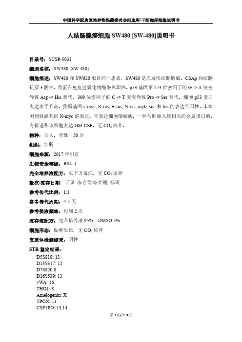 人结肠腺癌细胞SW480[SW-480]