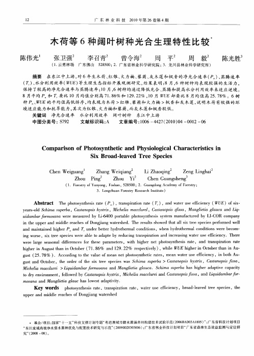 木荷等6种阔叶树种光合生理特性比较