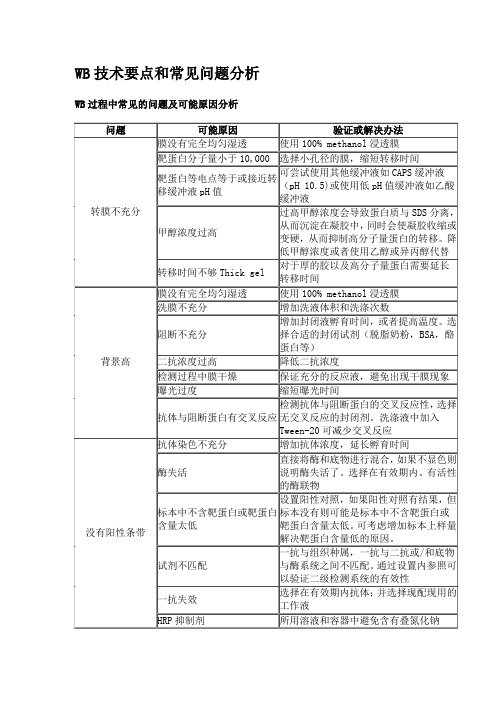 WB技术要点和常见问题分析 (1)