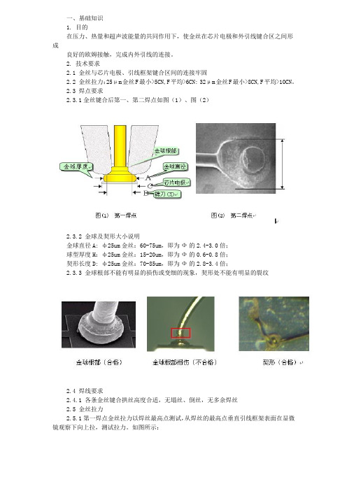 金球要求