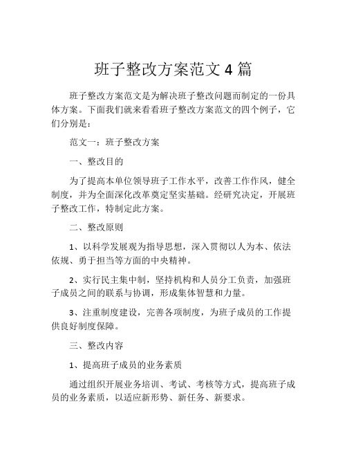 班子整改方案范文4篇