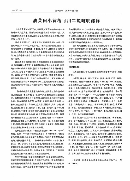 油菜田小苜蓿可用二氯吡啶酸除