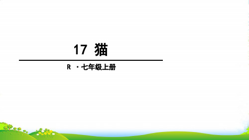 人教版语文七年级上册17 猫-课件