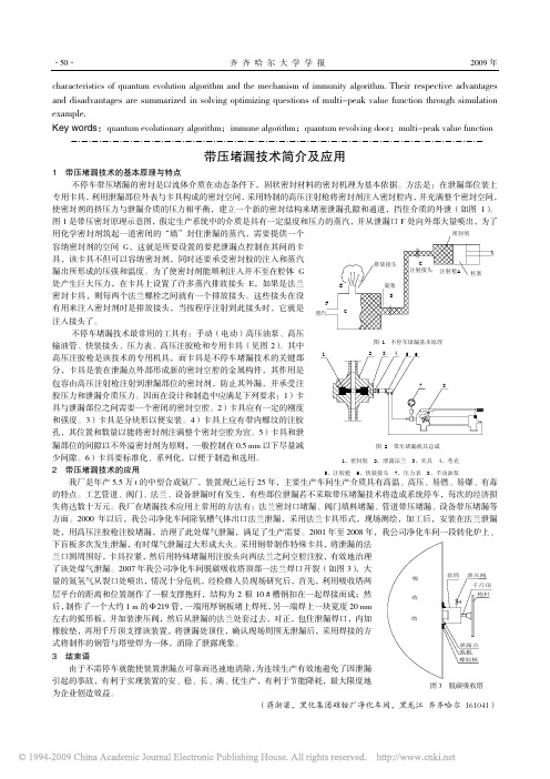 带压堵漏技术简介及应用