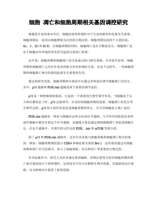 细胞 凋亡和细胞周期相关基因调控研究