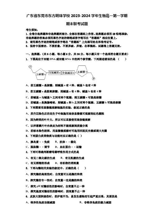 广东省东莞市东方明珠学校2023-2024学年生物高一第一学期期末联考试题含解析