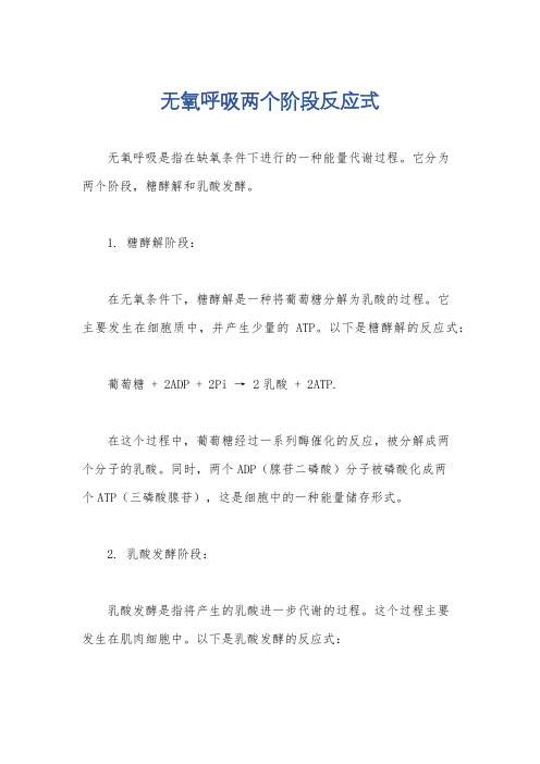 无氧呼吸两个阶段反应式