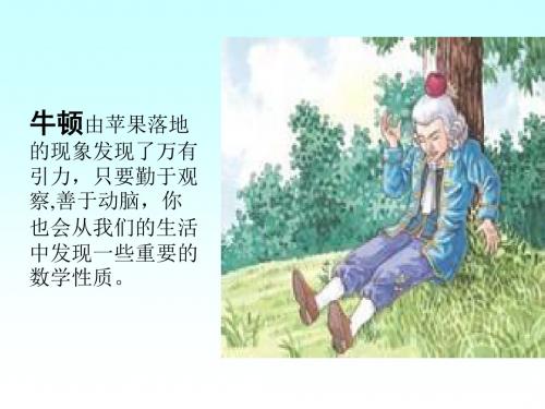 青岛版数学七年级上7.1等式的基本性质课件