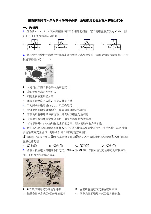 陕西陕西师范大学附属中学高中必修一生物细胞的物质输入和输出试卷