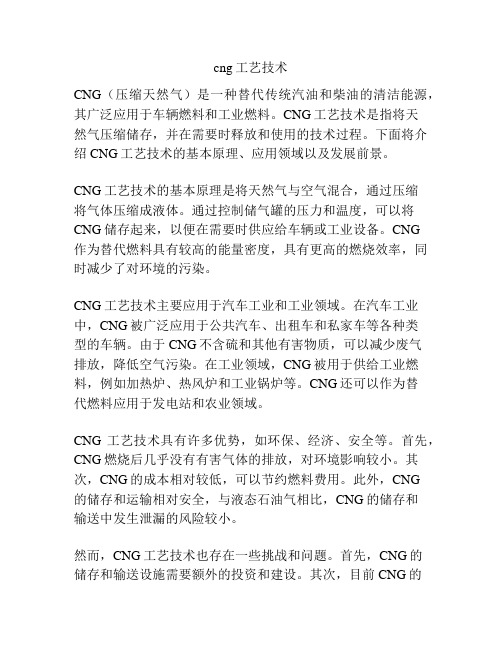 cng工艺技术