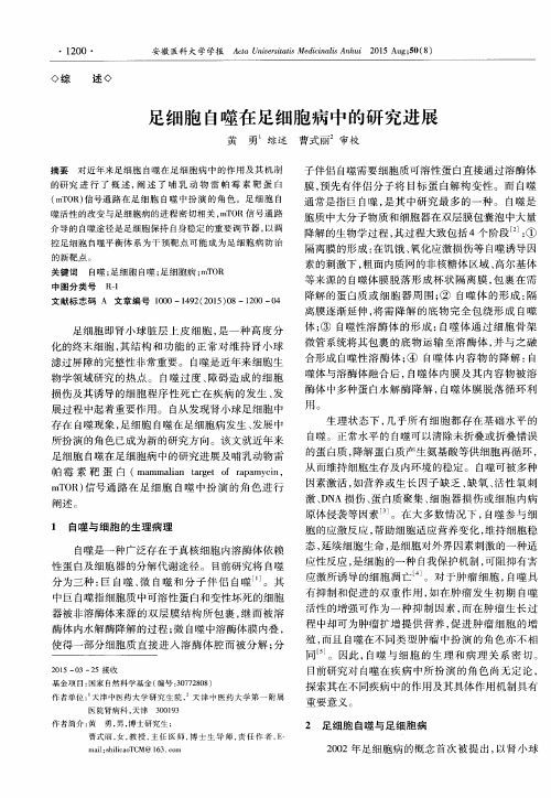 足细胞自噬在足细胞病中的研究进展