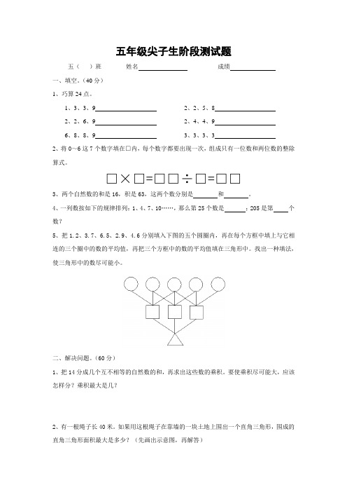 小学数学五年级尖子生阶段测试题