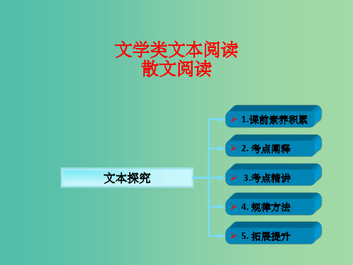 高考语文一轮复习 文学类文本阅读 文本探究课件 新人教版