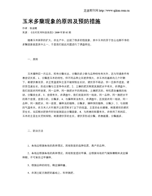 玉米多蘖现象的原因及预防措施