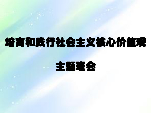 培育和践行社会主义核心价值观主题班会ppt