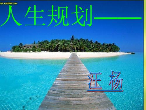 人生规划8020