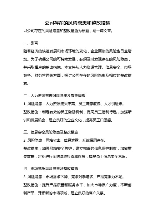 公司存在的风险隐患和整改措施