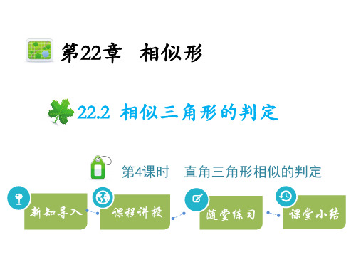 沪科版九年级上册数学教学课件 第22章 相似形 相似三角形的判定 第4课时直角三角形相似的判定