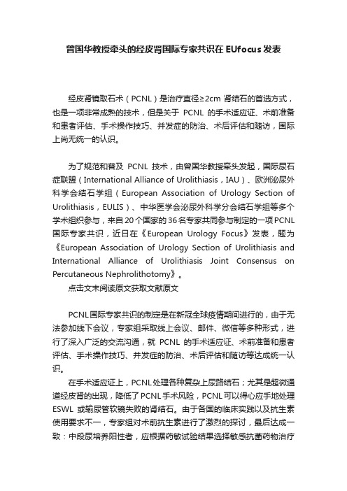 曾国华教授牵头的经皮肾国际专家共识在EUfocus发表