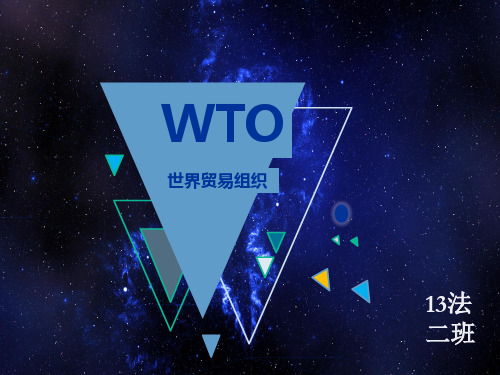 wto世界贸易组织介绍演讲ppt