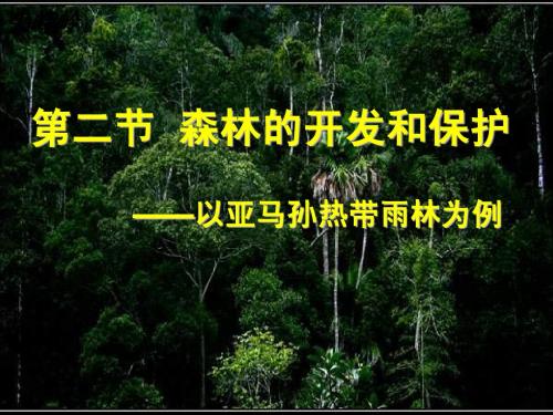 2-2森林的开发和保护——以亚马孙热带雨林为例