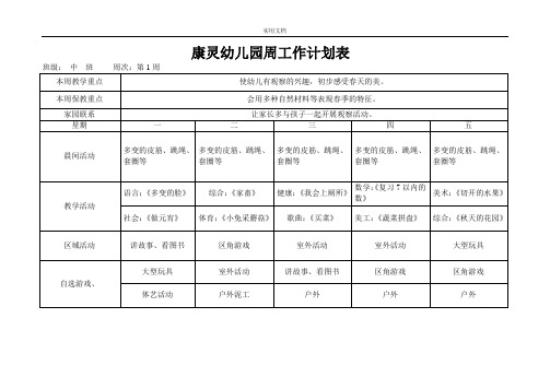 中班幼儿园教育春季周工作计划清单表