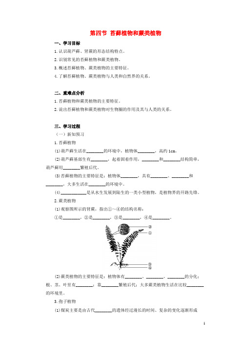 郧西县第二中学七年级生物上册 第一单元 我们身边的生命世界 第三章 形形色色的植物 第四节 苔藓植物