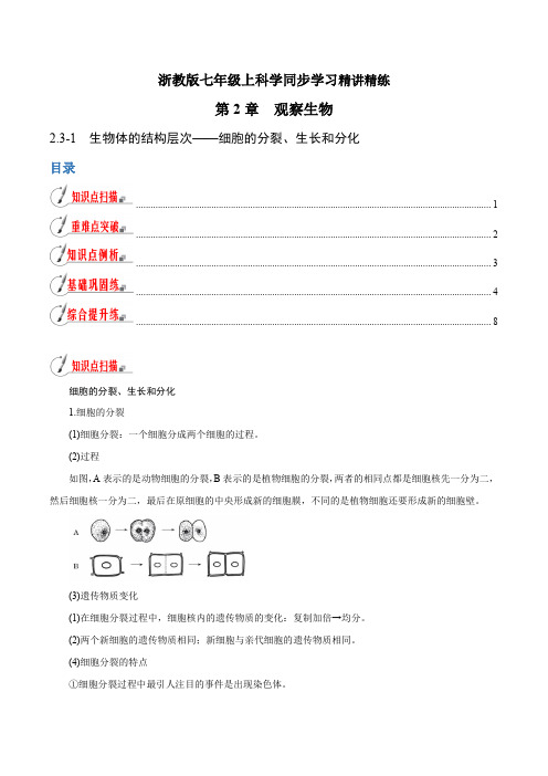 【精品讲义】浙教版 科学 7年级上册 细胞的分裂、生长和分化(教师版含解析)