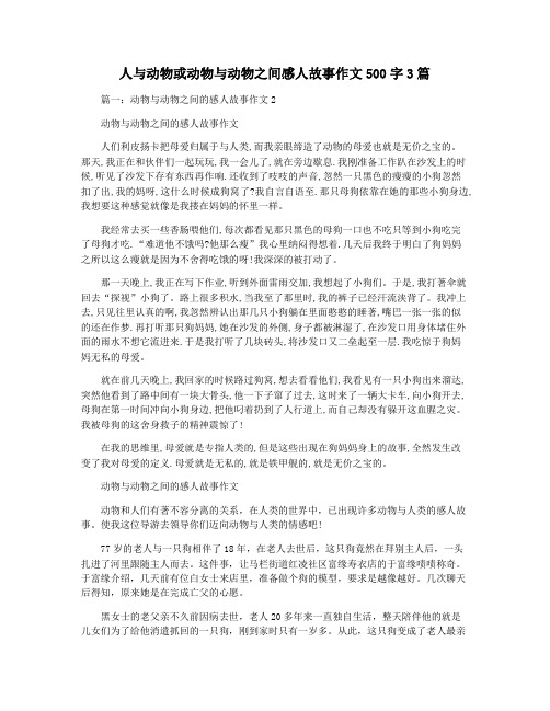 人与动物或动物与动物之间感人故事作文500字3篇