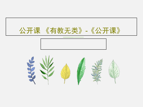 公开课 《有教无类》-《公开课》共25页文档